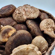 당일발송 무농약 표고버섯 1.5 kg 맛나는 못난이 표고버섯