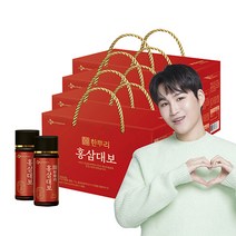한삼인 홍삼 대보 선물세트 2호 + 쇼핑백, 1세트