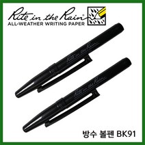 라이트인더레인 방수펜 방수볼펜 스페이스펜 BK91, 블랙 잉크