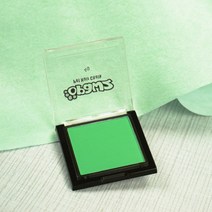 POMTOR 애견 강아지 고양이 볼터치 화장 염색 미용 반려동물 헤어초크 블러셔, 펫 블러셔-그린 4g(염색브러쉬)개