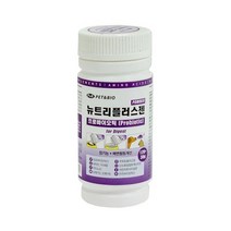 애완동물 장건강용 유산균 영양제 장영양제 포메 설사
