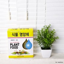 (ABM도매콜) 영양제 식물, 상세페이지 참조