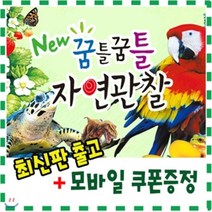 [전집] [기프트콘증정]뉴꿈틀꿈틀자연관찰/전84권/뉴씽씽펜포함/풍부한 사진과 세밀화 자연관찰/자연의 신비함이 살아 숨쉬는 자연생태그림책/관찰력과 탐구력을 키..., 톨스토이(전집)