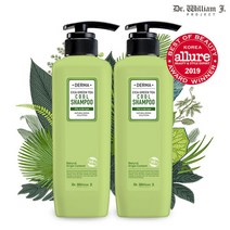 [얼루어 1위] 더마 시카 그린티 쿨 지성 두피 샴푸 500ml x 2개, 단품