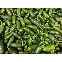 (가락시장까망콩) 농가에서 바로 따서 보내는 장아찌 피클 할라피뇨 페팩트 아삭이고추 (실금 못난이 영업용), 1kg, 1개