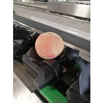 감자 과일선별기 과수원 사과 복숭아 토마토 측량 고정밀 분류기 감 자동, 과일 쟁반, 1개