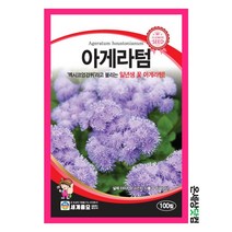 아게라텀 100립 / 꽃씨 종자 화단 정원 일년생 멕시코엉겅퀴 불로화 풀솜꽃, 1개