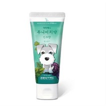 제니튼 주니어 치약 민트향, 25개, 60g