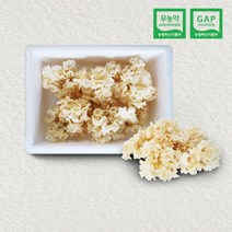 바이오 베타 글루칸 황금 생꽃송이 1kg 건조 꽃송이 버섯 100g 추석 설 명절 선물 세트 어르신 선물용 항암 면역력 강화, 2. 건조꽃송이버섯 100g