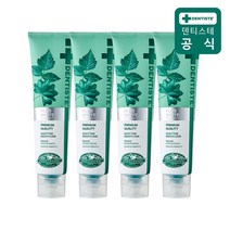 덴티스테 뉴 플러스화이트 튜브형 치약, 4개, 160g