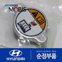 그랜저HG 순정 라디에이터 캡 뚜껑 (연식무관)