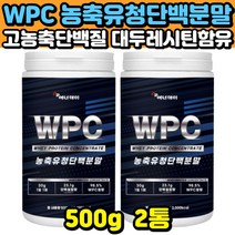 중년 부모님 팔다리 근 근육 머슬 단백질 보충제 500g 2통 웨이 프로틴 분말 가루 타먹는 마시는 유청단백 BCAA 류신 발린 농축유청단백 대두레시틴 파우더 whey protein 식사대용