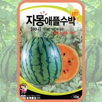 미니수박 씨앗 10립 미니 자몽 애플수박 씨앗 종자 수박 과일 씨 봄 여름
