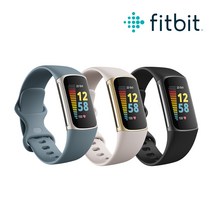 [ Fitbit 공식판매점 ] Fitbit Charge5 핏빗 차지5 스마트 트래커 스마트밴드, 스틸블루&플래티넘