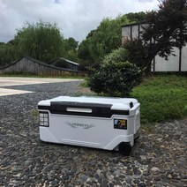 갈치쿨러 아이스박스 상자 2020 새로운 특별 가격 다기능 두꺼운 통관 테이블 초경량 장비 용품, 10.70L 불량이에요