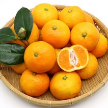 하르방마켓 제주 하우스 감귤 황금향 2kg 3kg 5kg 10kg 제주도 선물용 추석 명절 선물세트 추석과일선물세트, A-2. 최상품 감귤 선물세트 3kg