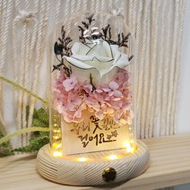 비비로즈 유리돔 무드등 생일 축하 부모님 생신 감사 어버이날 선물, 비비로즈무드등