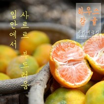 [제이샘 10월 4일 출고] 하우스감귤, 하우스감귤 4kg, 1개