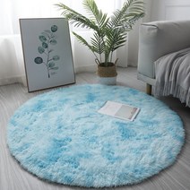 DFMEI 원형 카펫 북유럽 침실 롱 퍼 카펫