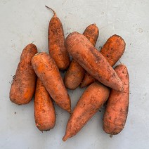 제주 구좌 햇 흙당근, 흙당근10kg(중품), 1개