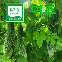 유기농 여주 생여주 5kg 건여주 500g 햇여주, 유기농 건여주 500g, 1개