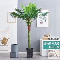 대형 코코넛 나무 식물 야자수 카페 펜션 호텔 인테리어 조화 야외 (17종), 1.8m 단품+화분+잔디
