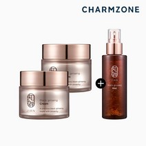 참존 지안 진액크림50MLX2 +미스트 증정, 단품