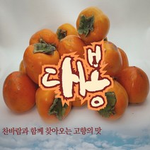 대봉감 10kg 홍시감 / 고향의 맛 / 곶감용 / 홍시용, 대봉감10kg(41~50과)