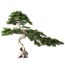 인조 소나무 상록수 분재 중식 호텔 매장 장식품 실내 조경, C모델150x100CM, 1개