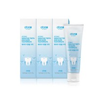 애터미 이앤몸 치약 100g 3개 104879