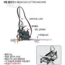 BUyuS600레일 [고이께] H빔절단기레일 고이께굿딜 브이숍, 600레일|600R