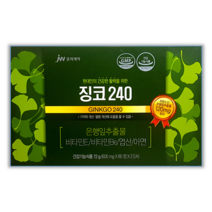 JW중외제약 징코240 면역력&혈행개선 영양제 120정(4개월분), 120정, 1박스
