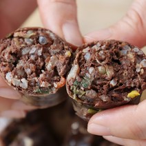 [순대트럭 6종+무료배송] 국내산 찰순대 고기순대 야채순대 암뽕순대 모듬내장 1kg, 국내산 토종 고기순대 1kg X 1팩