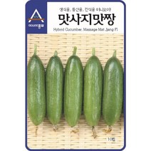 (오이씨앗종자) 맛사지맛짱오이(10립)