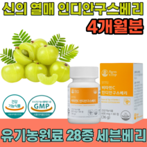 식약처 인증 신의 열매 인디안 구스 베리 비타민 C 110mg 유기농 원료 28종 세븐베리 무부형제 무첨가물 하루 한알 임신 전 후 직장인 간편하게 먹는 영양보충제 파는 곳 추천, 2