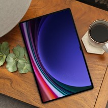 삼성전자 갤럭시탭 S9 울트라 WIFI 256GB SM-X910, 5G 256GB, 그라파이트 SM-X916NZAAKOO_충전기세트(블랙)