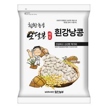 2021년산 힘찬농부오달봉 수입산 흰강낭콩 흰강남콩 그레이트노던빈 네이비빈, 1개, 수입산 흰강낭콩3kg