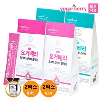 휴럼 요거베리 요거트 스타터플레인 2박스+카스피 요거트 스타터2박스