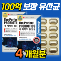 가족 패밀리 시니어 수험생 백억 보장 유산균 프로 바이오틱스 100억 여성 청소년 우먼 여자 먹이 온가족 캐나다 100억 다니스코 가성비 남성 락토프리 중학생 성인 여성용 500억