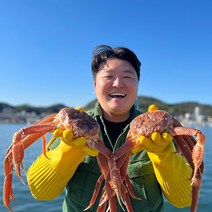 국내산 동해바다 제철 대게 수율보장, 국산대게(생물), 일반대게 대 3마리(생물)_수율60%내외