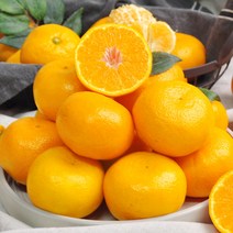 [제주직송] 새콤달콤 하우스 감귤 1kg 2kg / 소과 로열과 프리미엄과, 감귤 2kg (프리미엄과)