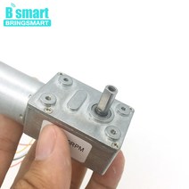 웜기어 감속기 모터 Bringmart JGY-2430 브러시리스 12 볼트 24V DC 웜 기어 모터 자동 잠금 가역 브레이크, 09 24V 6rpm
