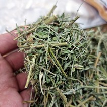 국산 건조 야관문 팩 10개 비수리 말린 야관문 차 건 야관문 티백 야관문주 야관문 담금주 만들기 남자에게좋은음식 스테미너음식 스테미나음식 스태미나음식