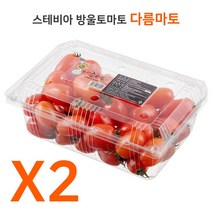 다름달음 다름마토 스테비아 대추방울토마토 1kg