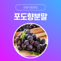 [한솔식품원료] 포도향분말 (Grape flavor powder) (분말 Type) [50g/100g/1kg/5kg/10kg], 100g