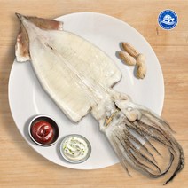 [아이스박스]장수왕 국산 반건조 오징어 특대자 10마리 1.7kg이상 /반건 안주 구이 간식 반찬, 1봉, 1.7kg이상(10마리)