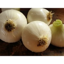 [띠앗농장]달달한 제주 조생 양파 햇양파 5kg/10kg[산지직송], 양파15kg(왕특)