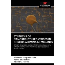 (영문도서) Synthesis of Nanostructured Oxides in Porous Alumina Membranes Paperback, Our Knowledge Publishing, English, 9786202715294