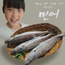 오늘생선 국산 여수 반건조 민어 200g 6마리 부레 구이 지리 탕 찜