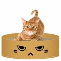 똘복M 고양이 스크레쳐 고양이스크래쳐 (나뽀 키노피) 애묘용품, DDB_상품선택